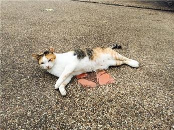 比BT还烦人！《死亡搁浅2》玩家集体请愿禁言